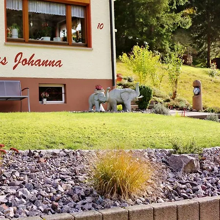 Haus Johanna 公寓